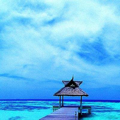 足球滚球的正规平台appapp下载