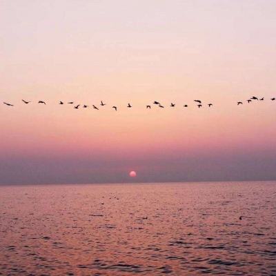 澳门金沙扫码下载